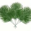 Suitable for Summer Decoration, Palm Flower Arrangement, Wedding, Birthday, Room Decor, Home Decor, Hawaiian Party, Jungle Beach