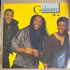 7inch Record CASHMERE  Can I  Can I Vocal  Without Rap BRW19 4th  Broadway 1984 UK Dance  Electronica Used