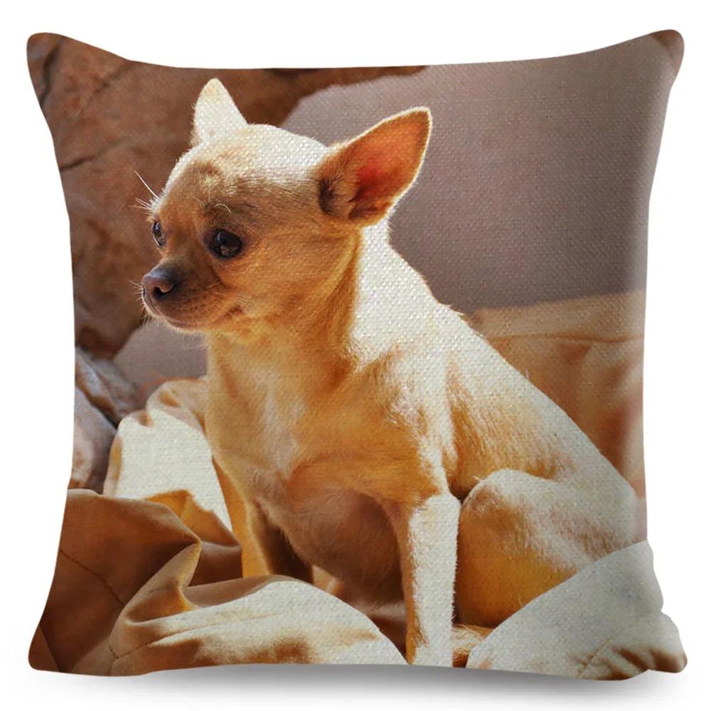 Cute Little Dog Chihuahua throw pillow cover with short plush print for living room sofa decoration cushion cover pillow covers
