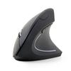 Wireless Optical Mouse 6-buttons Nano Black