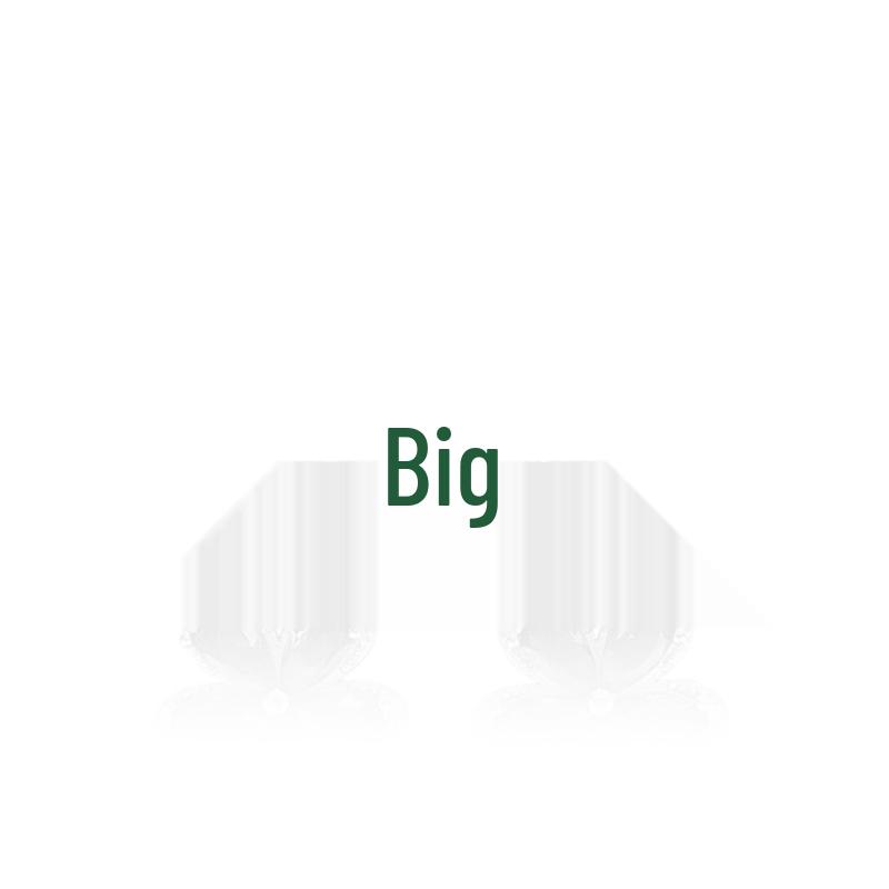 

Sterling Silver S925 Emerald Stud Earrings & Necklace Set: Shiny Retro European/American Style, Light Luxury Temperament Accessories for Women.