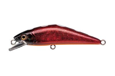 Pesca – Wobblers, esche e ami