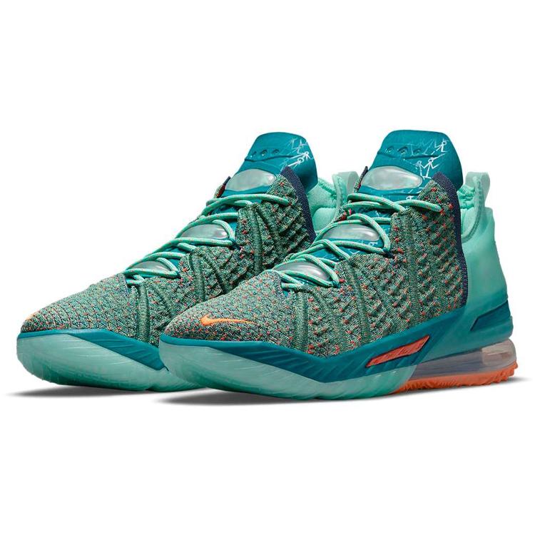 Nike LeBron 18 We Are Family CQ9283-300