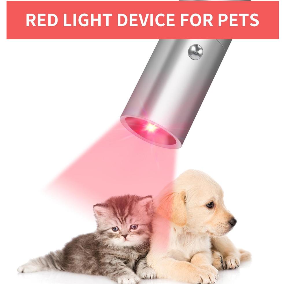 Portable Infrared Physiotherapy Red Light Flashlight with 4 Light Sources