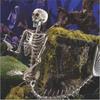 Life Size Skeleton Mermaid Skeleton Halloween Outdoor Decorations, Realistic Full Body Posable Joints Mermaid Bones Scary Halloween Skeleton Life Size