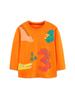 AostaBetty Dinosaur Print Boys' Long Sleeve Knit Cotton T-shirt