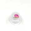 1pcs Littlest Shopping Elf Fruit Dolls Original 1cm Minimum Action Figures Playing Miniature Toys for Family Kids Christmas Gift