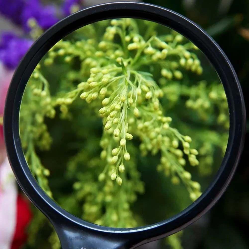 10X Reading Magnifiers Handheld Magnifier Portable Magnifying Glass  For Reading Repair