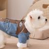 Puppy Cowboy Cotton Jacket Punk-Style Dog Clothes Winter Warmth for Yorkshire Two-Legged Garment Thickened Teddy Coat
