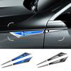 Accesorii de exterior – Embleme