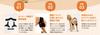 AniSuppo Hip S Size for Small Dogs Made in Japan Dog Supplies Dog Support Hip Dysplasia Hip Support Dog Hip Hip Joint Hind Leg Restriction Abduction