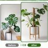 Plant Climbing Coir Totem Pole Safe Gardening Coconut Stick For Climbing Plants Vines And Creepers Plant Support Garden Supplies