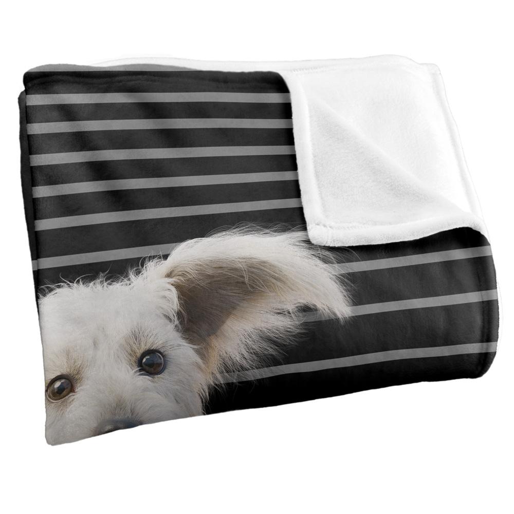 Superman Silky Lines Krypto Supersoft Blanket