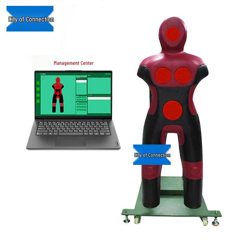 Lianzhicheng 12-Point Thrust & Slash Evaluation System