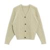 Che Jingyuan Style Light Green V-Neck Cable Knit Cardigan - Women's Korean Winter Sweater
