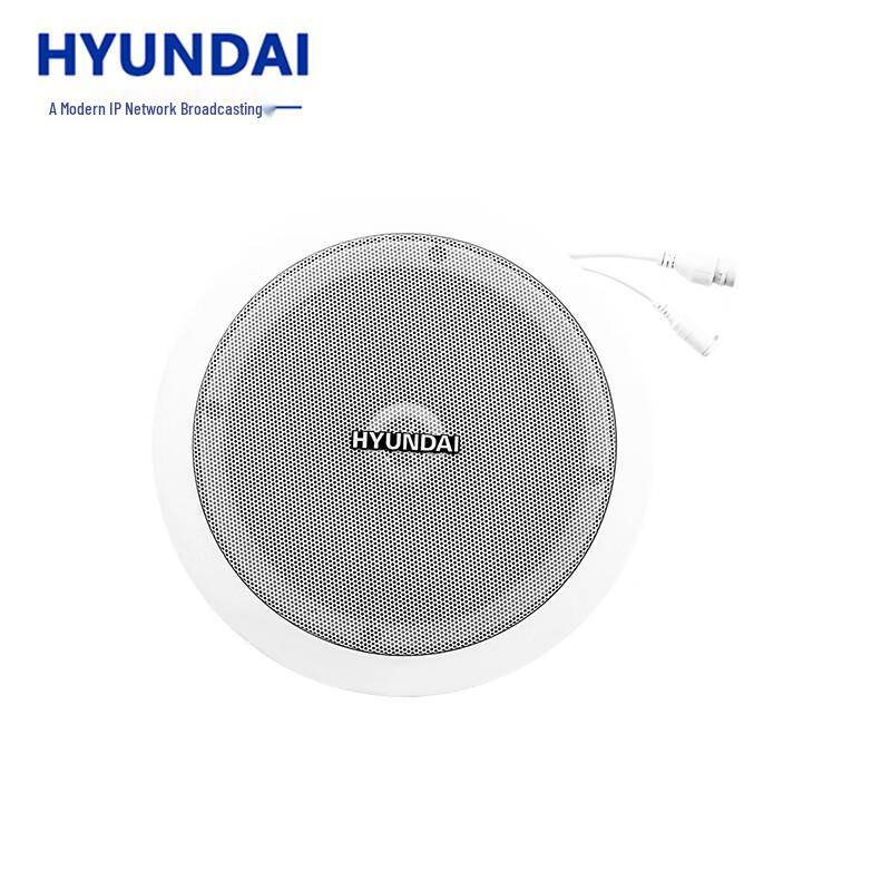 Hyundai IP Network Broadcasting Audio Systems CN plug (adapter included)