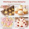 2D Icing Piping Tips Stainless Steel Pastry Nozzle Set for Cupcake Cake Decorating Home Baking Bakery Professional Use