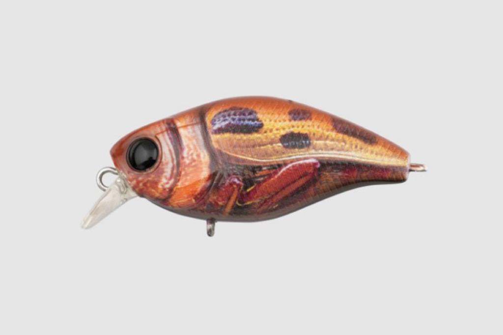 Jackall Chubby Magnum 50F Floating Lure RT Custard Bug (1913)