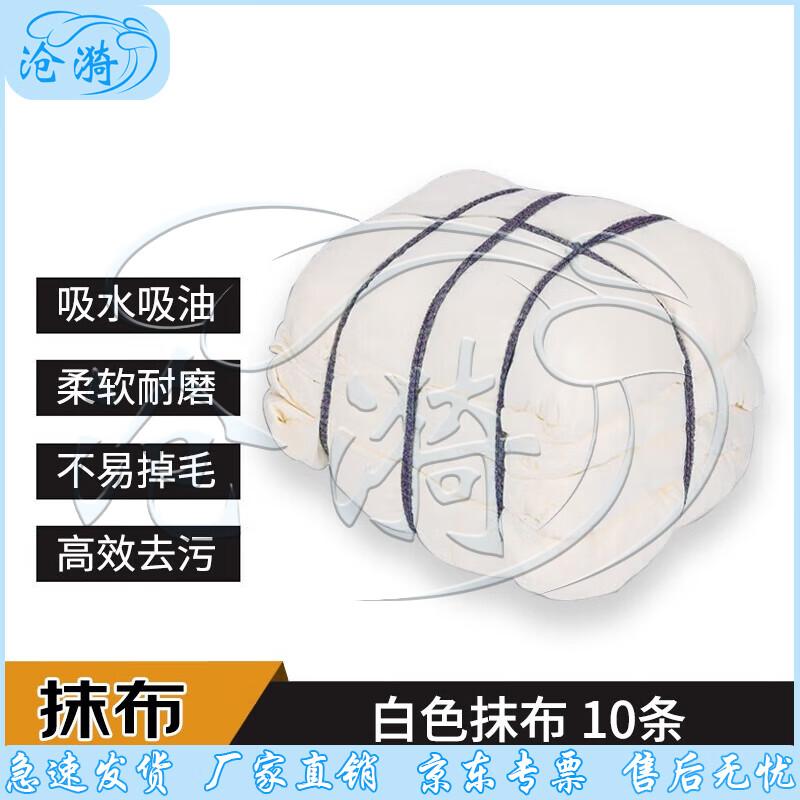 White Oil-Absorbing Lint-Free Cleaning Cloths (10-Pack)