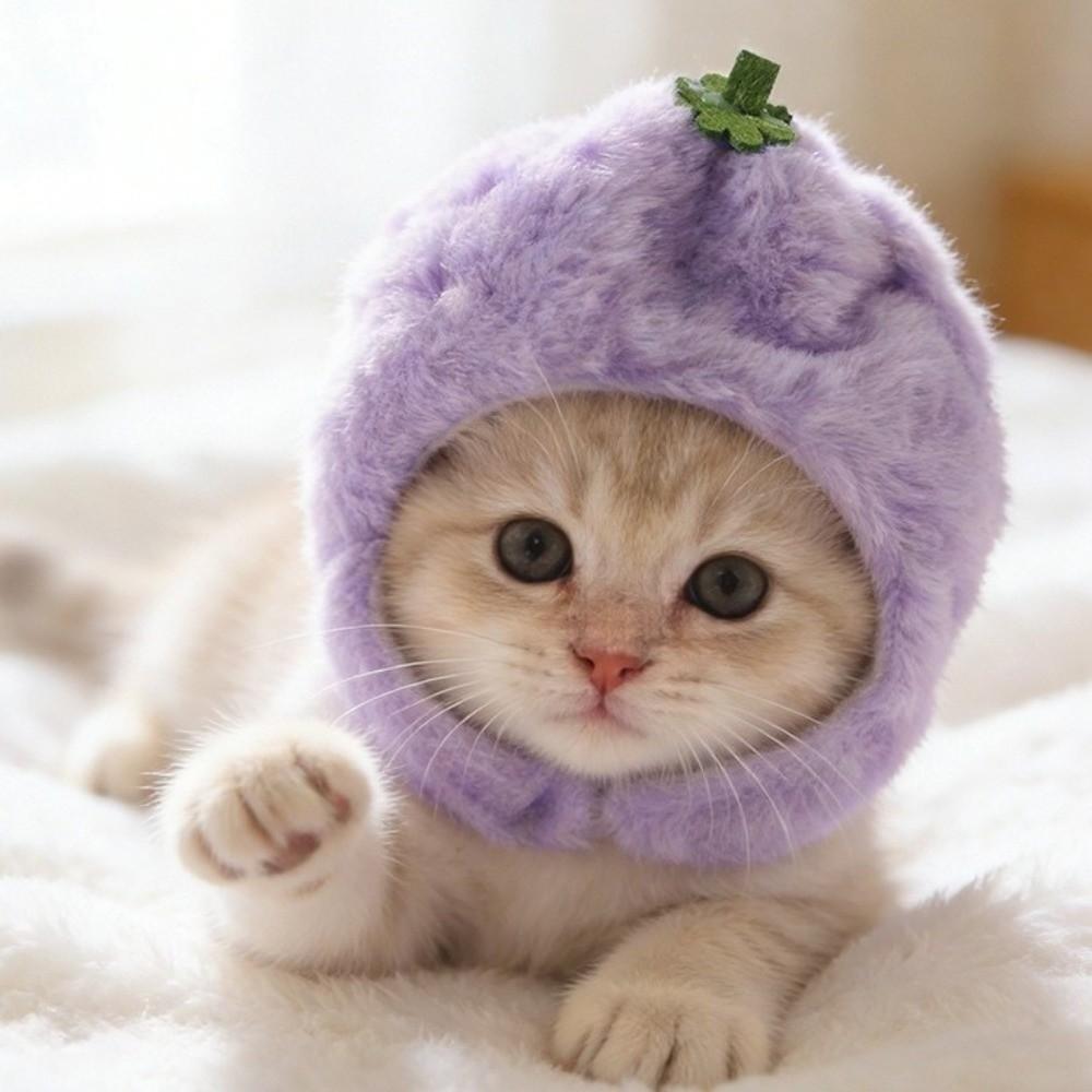 Soft Fit Cat Headwear Lightweight Rabbit Costume Headband Kitten Headwear Pet Hat  Cat Dress Up