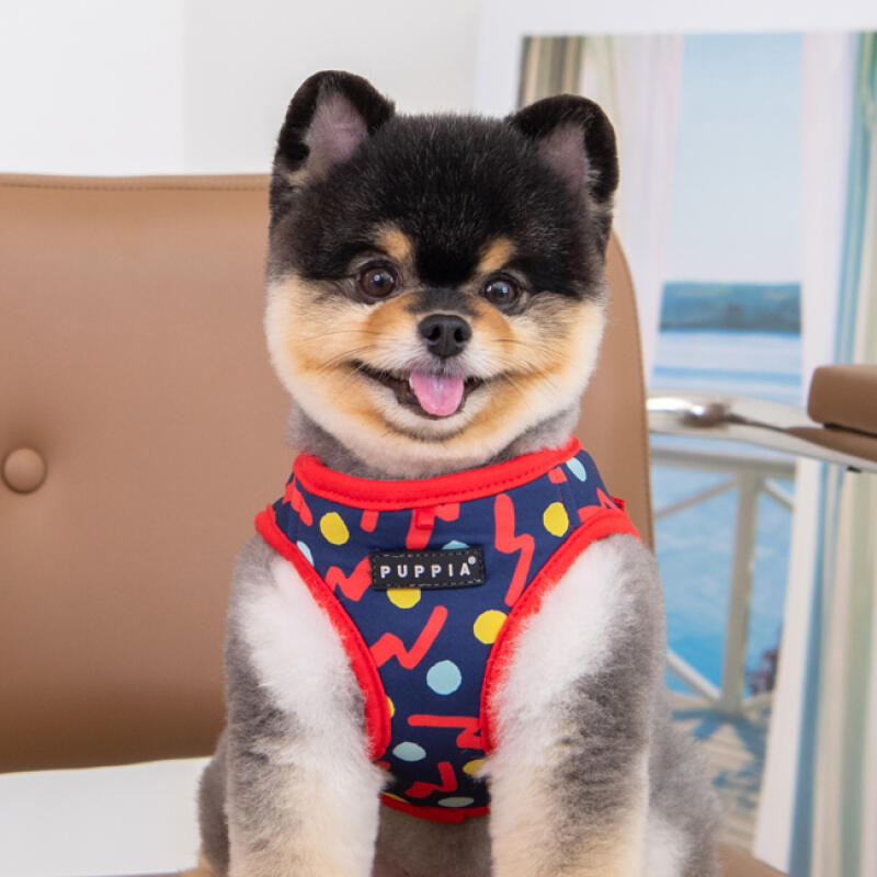 Pepe Harness A SIZE M (PAWA-HA1961) Red