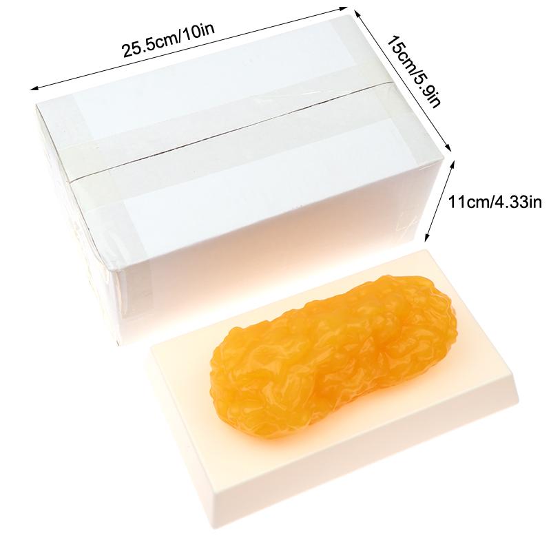 

1lb Fat Replica Fatty Tissue Model Human Body Simulation Demonstration Tool for Nutritionists And Science Courses