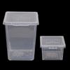 Accessories Household for Scorpion Spider Ants Transparent Hatching Tank Insect Feeding Box Reptile Habitat Lizard Living Box