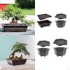 Durable Plant Pots with Tray for Indoor and Outdoor Use