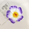 Egg Flower Hawaiian Flower Hair Clips Bohemian Flower Romantic Hibiscus Hairpins Decorative Headdress Head Side Clip Beach Party