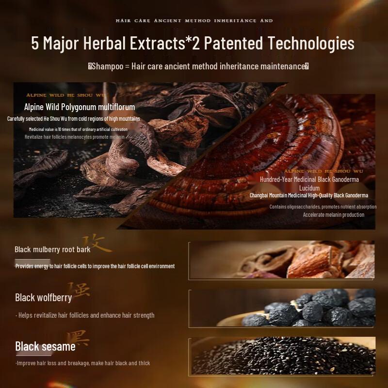 Korean Five Grains Fo-ti & Black Reishi Shampoo