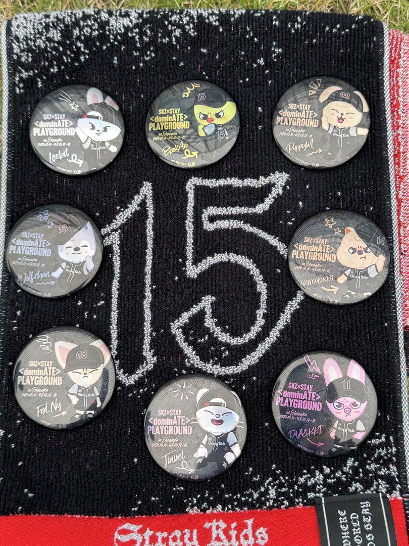 

[USED] Stray Kids PLAYGROUND Badge Complete