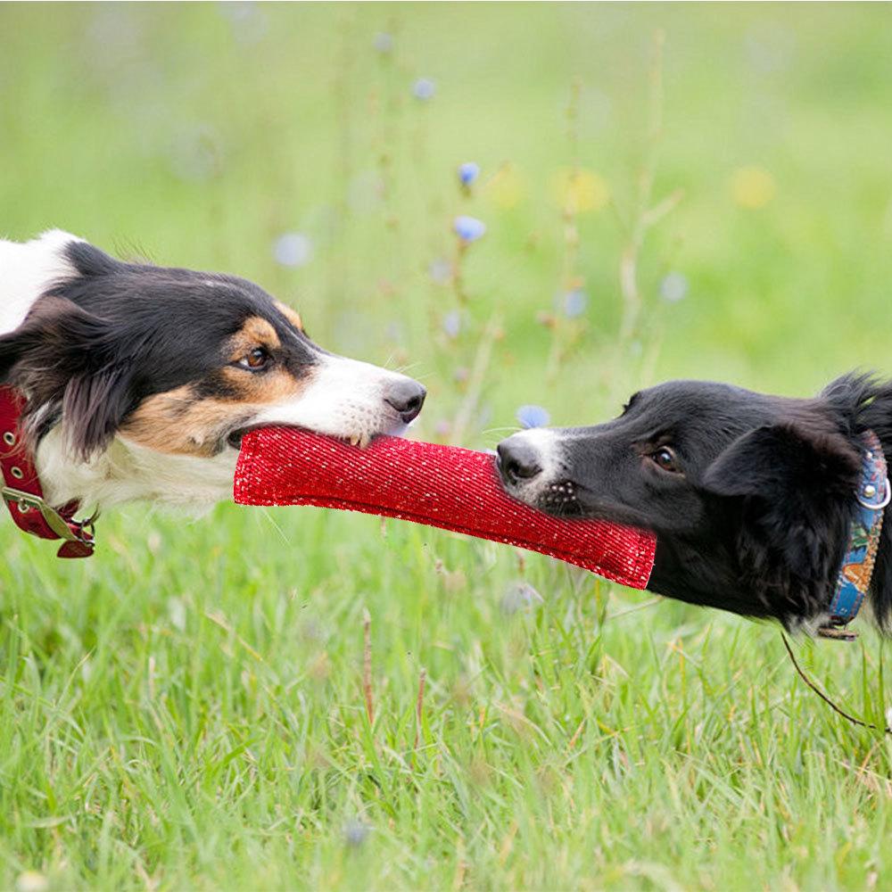 Hundetræning Bidestok Dobbelt Håndtag Interaktiv Legetøj Tænderslibning Hundetræningspind Kæledyrshundetræning Jutehylster Hundelegetøj