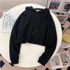 Damen Frühlings- & Herbst-Kapuzenpullover Locker, Koreanischer Schick & Hongkong-Stil, Trendige Kurze Jacke Top