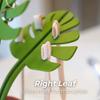 Mirror Monstera Bathroom Organizer Mirror Jewelry Bracelet Holder Watch Wallet Storage Mirror Toothbrush Holder for Bathroom