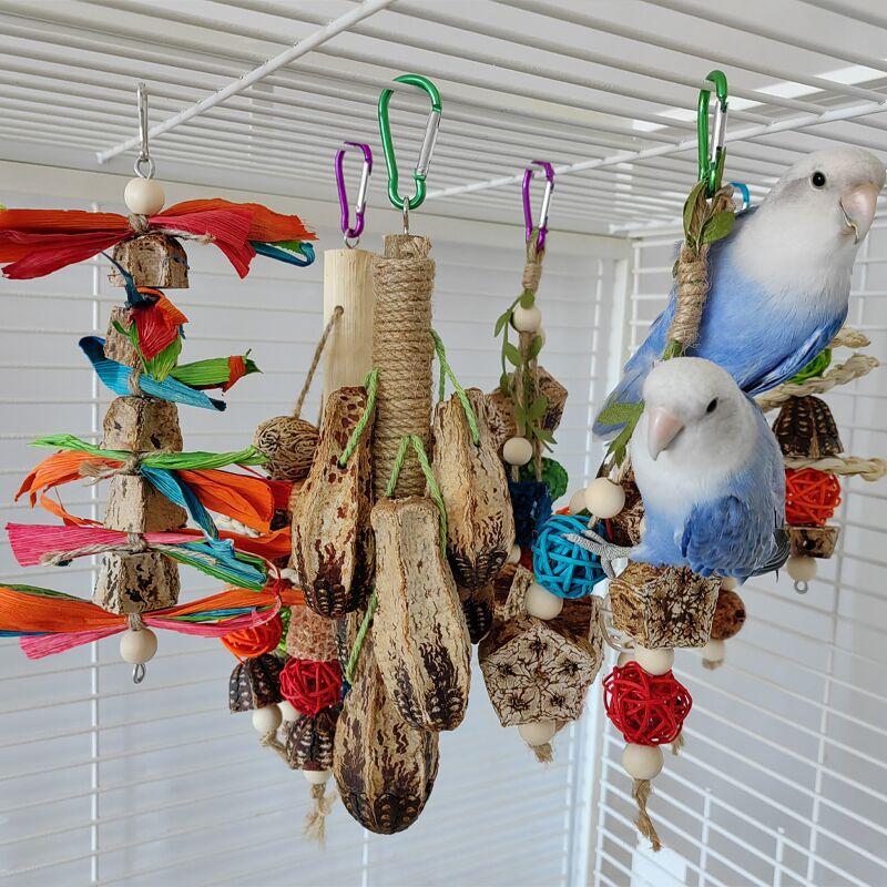 La gabbia per uccelli alla stazione degli uccelli è decorata con carambole e palline di rattan come giocattoli da masticare, per alleviare la noia e mordicchiare fili.