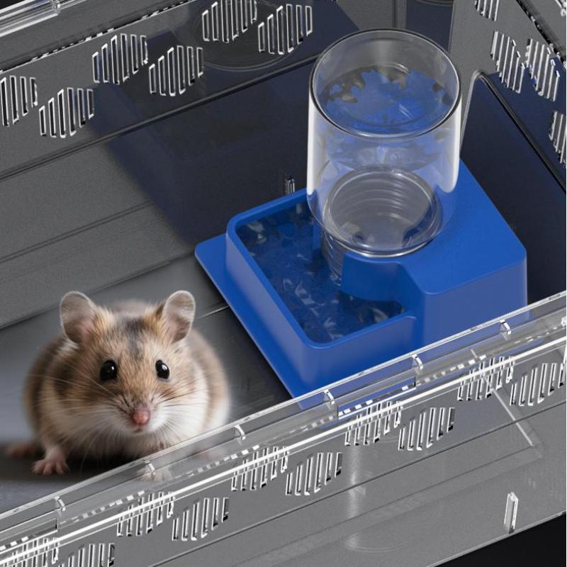 Reptile Water Bottle Automatic Water Feeder With Bottle For Tortoise Turtle Lizard Anti Drowning Water Dispense Pet Supplies