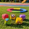 Bag Set with Disc, Outdoor Play for Kids and Adults, Team Building Activity Toy
