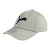 Puma Хлопковые бейсболки унисекс серые 026204-04