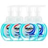 Walch Antibacterial Hand Wash