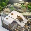 Stable Turtle Floating Platform Non-Slip Turtle Climbing Slope Reptile Ramp  Aquarium