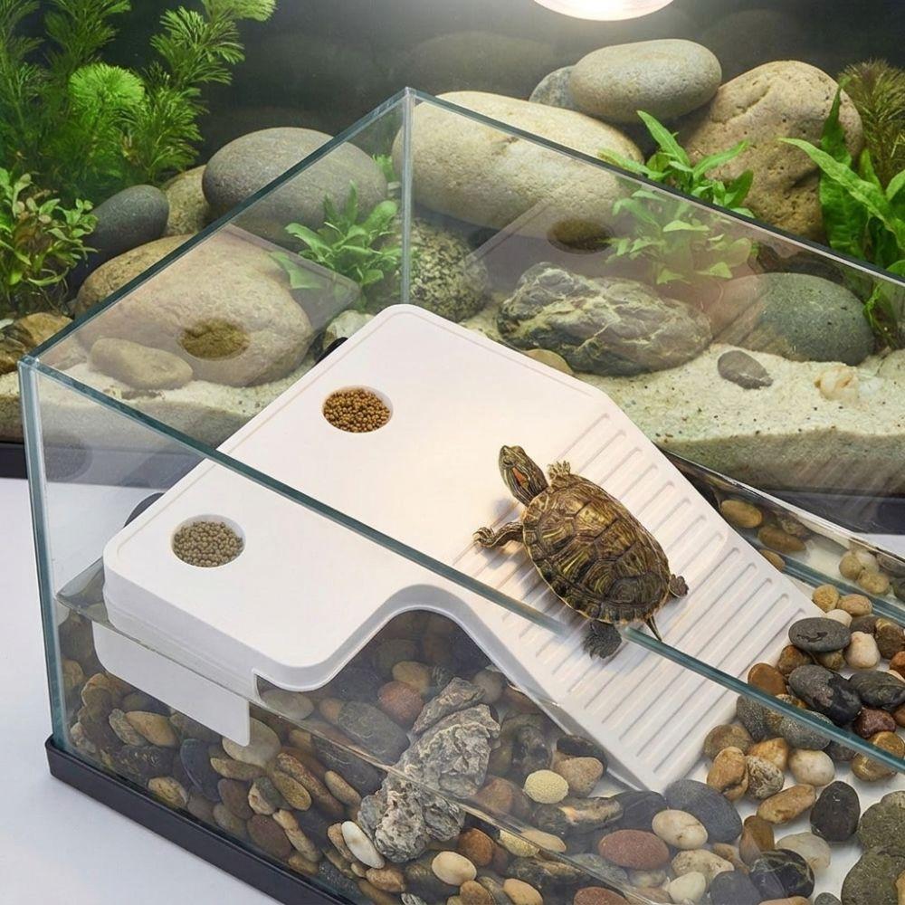 Stable Turtle Floating Platform Non-Slip Turtle Climbing Slope Reptile Ramp  Aquarium