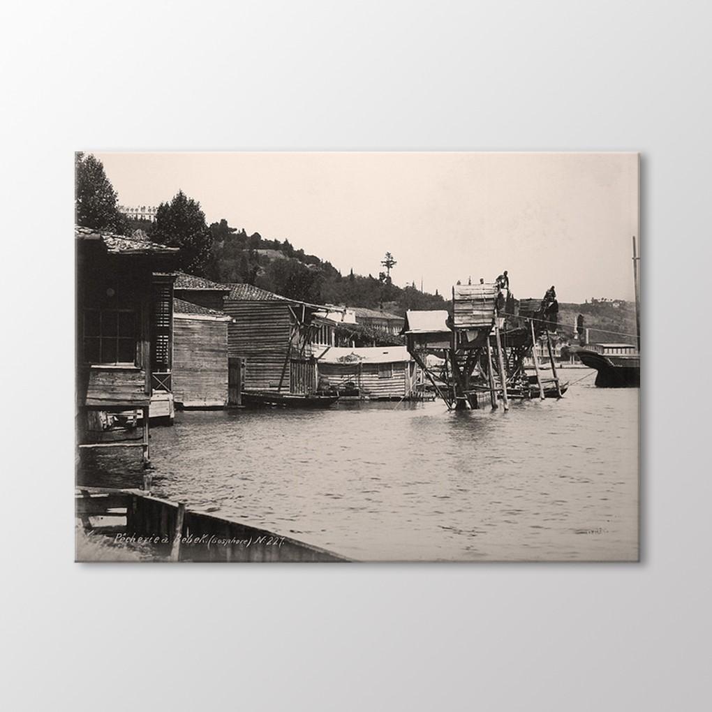 

Малыш Вейр, Картина 1880 года