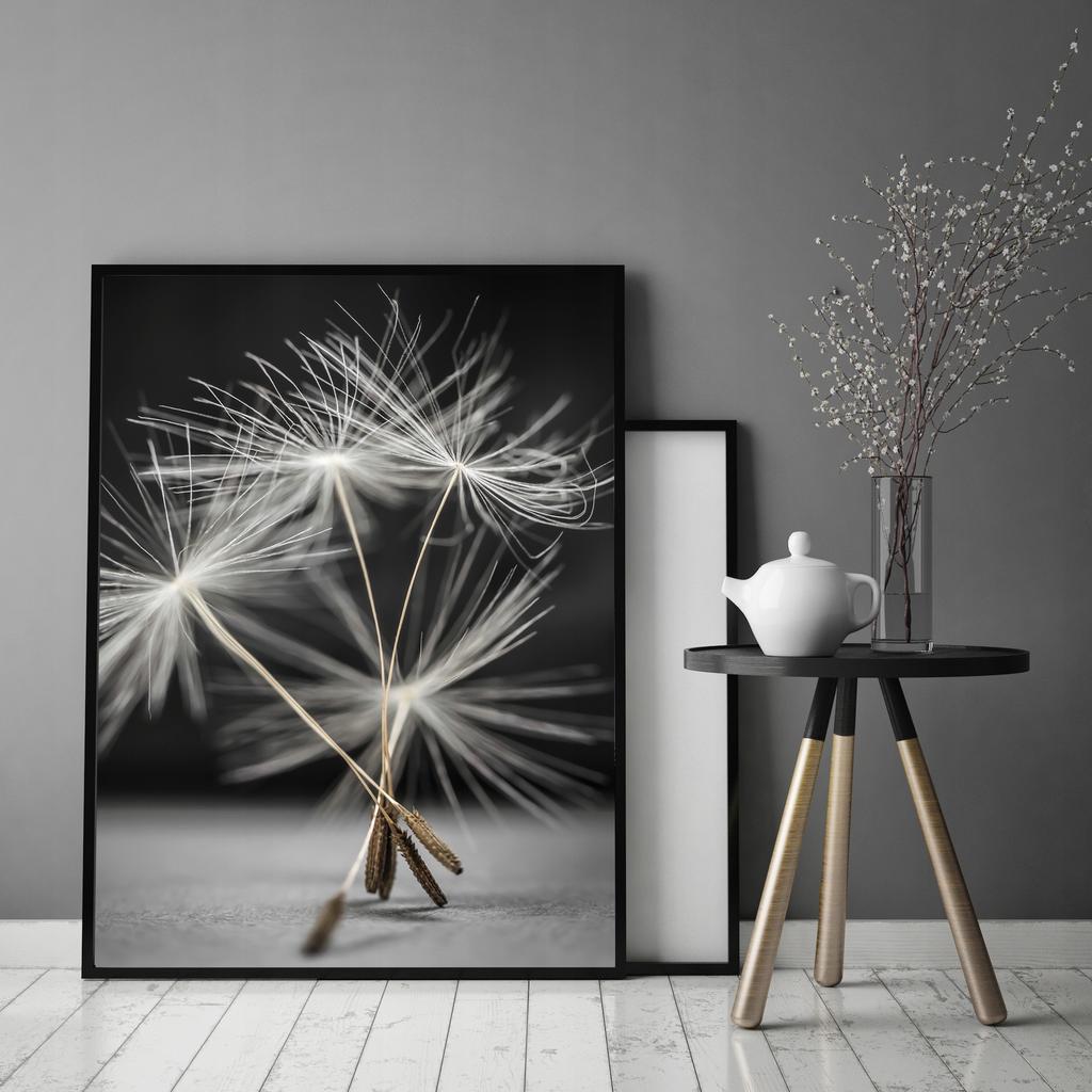 Picture, poster Framed 53x73 cm Dandelion P521