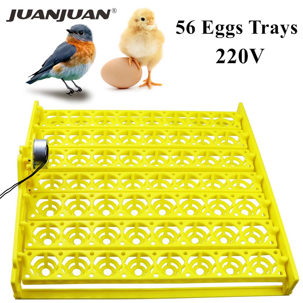 

Egg Incubator Automatic Turning Tray 56 154 Bird Eggs Duck Chicken Eggs Hatching Machine 220V Incubator Trays Auto Turn Motor 220V