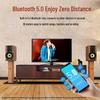 Sansui S880 HiFi 2.0 Home KTV & Theater Speaker System CN plug (adapter included)