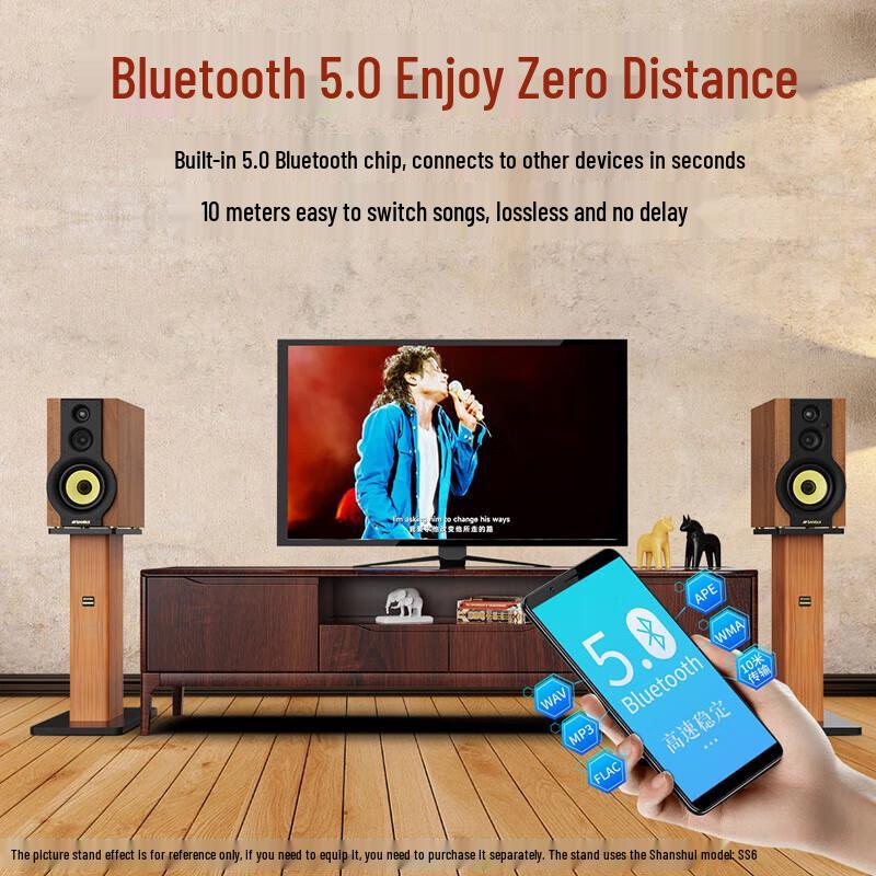 Sansui S880 HiFi 2.0 Home KTV & Theater Speaker System CN plug (adapter included)