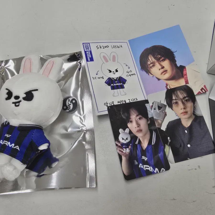 

Straykids Skzoo Karma Leeknow Ribit Album