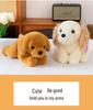 Peluche Cane Meika Carino: Adorabile Bambola Conforto Golden Retriever per Bambini