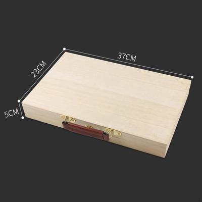 Kunstbenodigdheden Organizer Box Metalen Sluitingen Lichtgewicht Draagbaar Stevig Pastel Verfkwast Accessoires