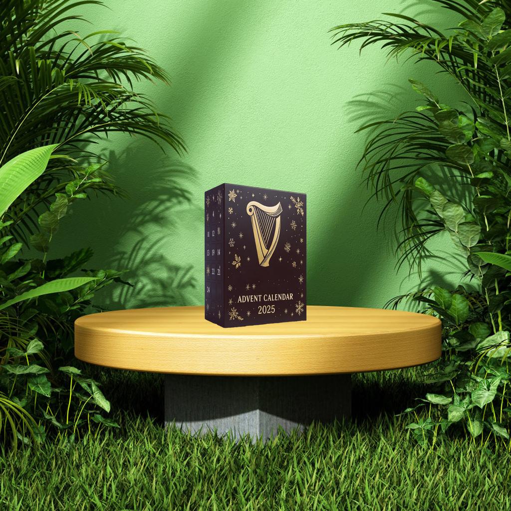 2D Plane+airplane Box +24PC+ Fitness Decoration Advent Christmas Countdown Box Calendar